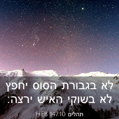 Picture 03 - תהלים 147:10 HEB - לא בגבורת הסוס יחפץ לא - Bible Verse Picture
