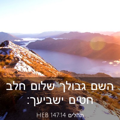 Picture 03 - תהלים 147:14 HEB - השם גבולך שלום חלב חטים - Bible Verse Picture