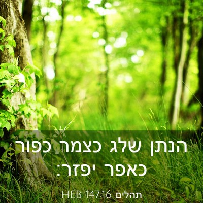 Picture 03 - תהלים 147:16 HEB - הנתן שלג כצמר כפור כאפר - Bible Verse Picture