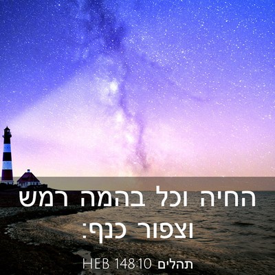 Picture 03 - תהלים 148:10 HEB - החיה וכל בהמה רמש וצפור - Bible Verse Picture