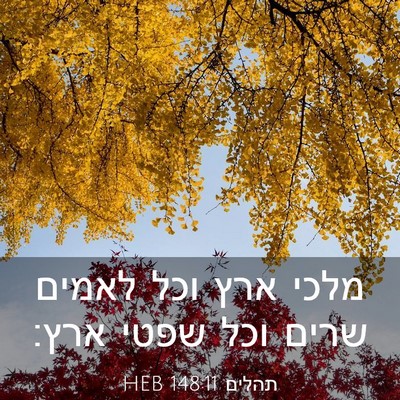 Picture 03 - תהלים 148:11 HEB - מלכי ארץ וכל לאמים שרים וכל - Bible Verse Picture