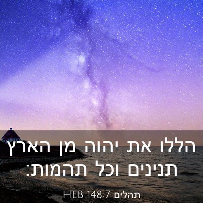 Picture 03 - תהלים 148:7 HEB - הללו את יהוה מן הארץ תנינים - Bible Verse Picture