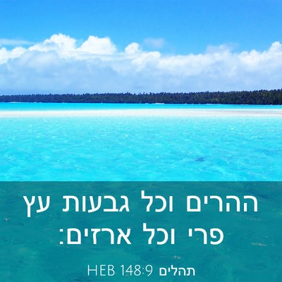 Picture 03 - תהלים 148:9 HEB - ההרים וכל גבעות עץ פרי וכל - Bible Verse Picture