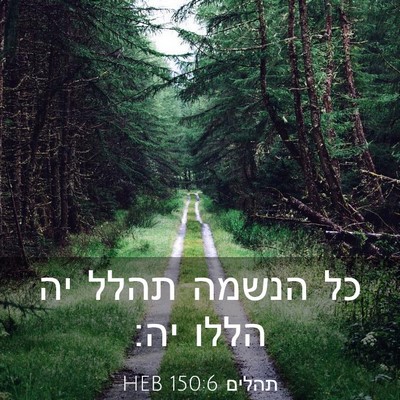 Picture 03 - תהלים 150:6 HEB - כל הנשמה תהלל יה הללו - Bible Verse Picture