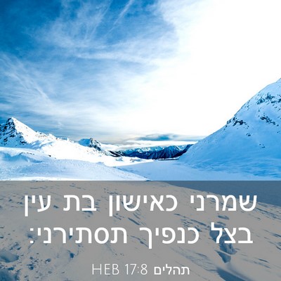 Picture 03 - תהלים 17:8 HEB - שמרני כאישון בת עין בצל - Bible Verse Picture