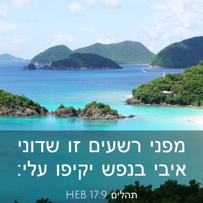 Picture 03 - תהלים 17:9 HEB - מפני רשעים זו שדוני איבי - Bible Verse Picture