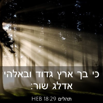 Picture 03 - תהלים 18:29 HEB - כי בך ארץ גדוד ובאלהי אדלג - Bible Verse Picture