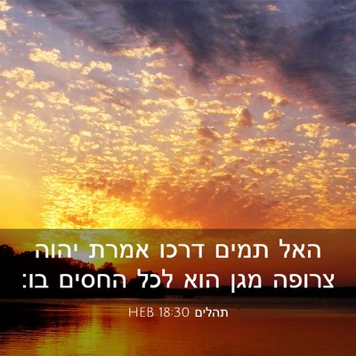 Picture 03 - תהלים 18:30 HEB - האל תמים דרכו אמרת יהוה - Bible Verse Picture