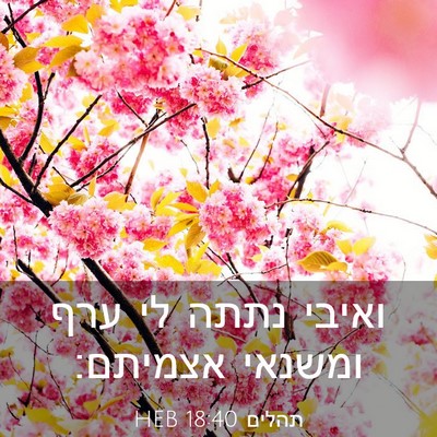 Picture 03 - תהלים 18:40 HEB - ואיבי נתתה לי ערף ומשנאי - Bible Verse Picture