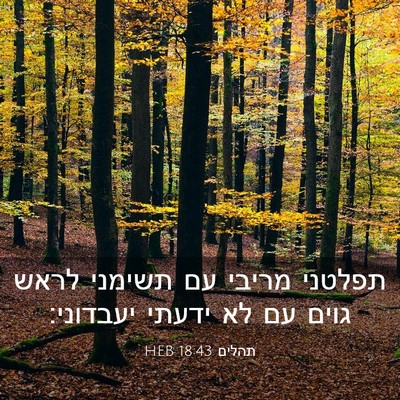 Picture 03 - תהלים 18:43 HEB - תפלטני מריבי עם תשימני - Bible Verse Picture