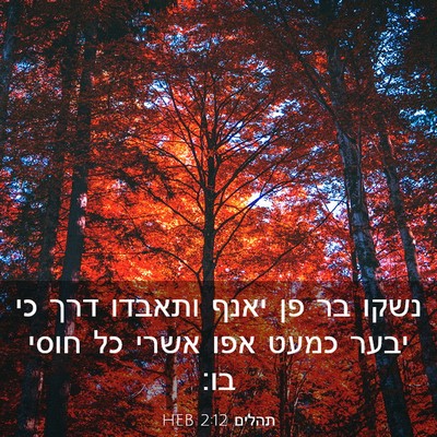 Picture 03 - תהלים 2:12 HEB - נשקו בר פן יאנף ותאבדו דרך - Bible Verse Picture