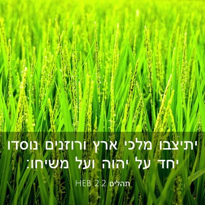 Picture 03 - תהלים 2:2 HEB - יתיצבו מלכי ארץ ורוזנים - Bible Verse Picture