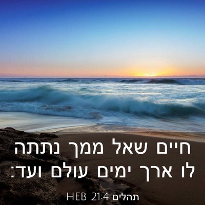 Picture 03 - תהלים 21:4 HEB - חיים שאל ממך נתתה לו ארך - Bible Verse Picture