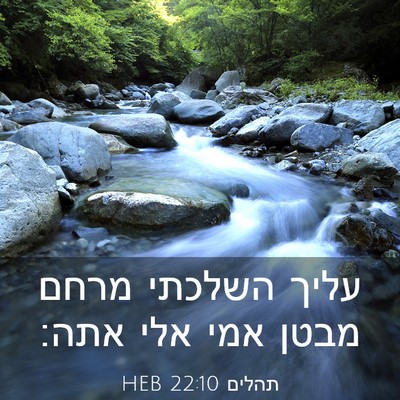 Picture 03 - תהלים 22:10 HEB - עליך השלכתי מרחם מבטן אמי - Bible Verse Picture