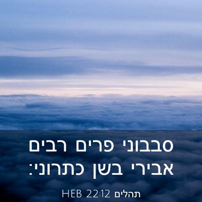 Picture 03 - תהלים 22:12 HEB - סבבוני פרים רבים אבירי בשן - Bible Verse Picture