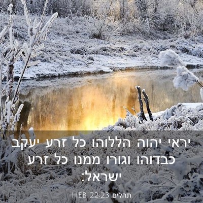 Picture 03 - תהלים 22:23 HEB - יראי יהוה הללוהו כל זרע - Bible Verse Picture