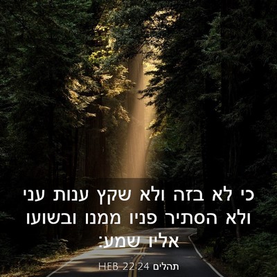 Picture 03 - תהלים 22:24 HEB - כי לא בזה ולא שקץ ענות עני - Bible Verse Picture
