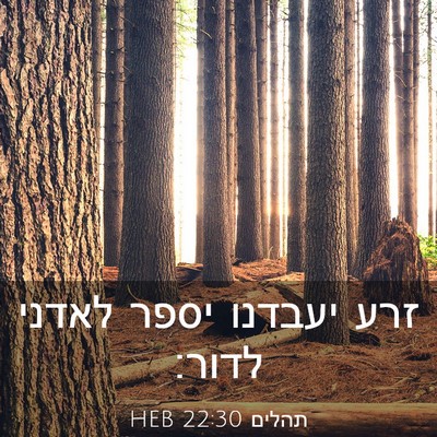 Picture 03 - תהלים 22:30 HEB - זרע יעבדנו יספר לאדני - Bible Verse Picture