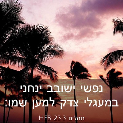 Picture 03 - תהלים 23:3 HEB - נפשי ישובב ינחני במעגלי - Bible Verse Picture
