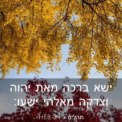 Picture 03 - תהלים 24:5 HEB - ישא ברכה מאת יהוה וצדקה - Bible Verse Picture