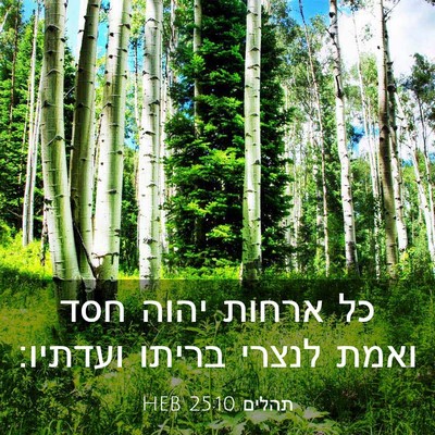 Picture 03 - תהלים 25:10 HEB - כל ארחות יהוה חסד ואמת - Bible Verse Picture