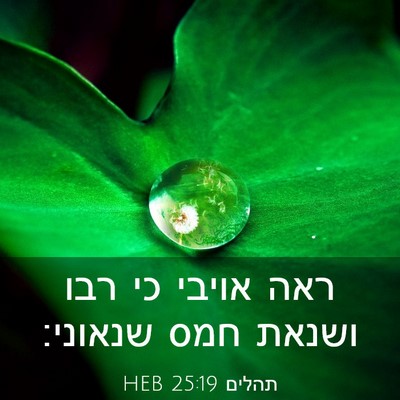 Picture 03 - תהלים 25:19 HEB - ראה אויבי כי רבו ושנאת חמס - Bible Verse Picture