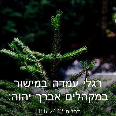 Picture 03 - תהלים 26:12 HEB - רגלי עמדה במישור במקהלים - Bible Verse Picture