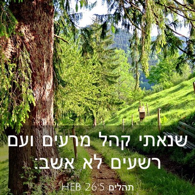 Picture 03 - תהלים 26:5 HEB - שנאתי קהל מרעים ועם רשעים - Bible Verse Picture
