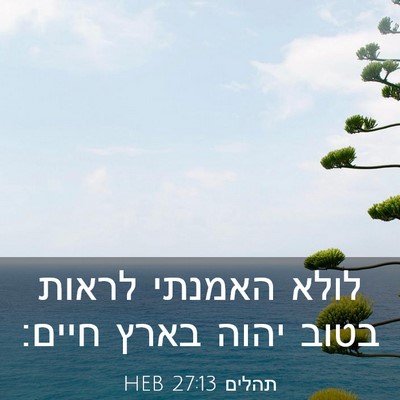Picture 03 - תהלים 27:13 HEB - לולא האמנתי לראות בטוב - Bible Verse Picture