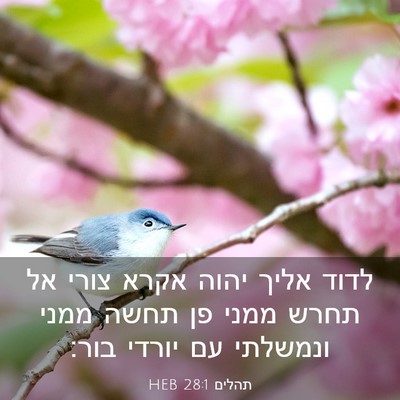 Picture 03 - תהלים 28:1 HEB - לדוד אליך יהוה אקרא צורי אל - Bible Verse Picture