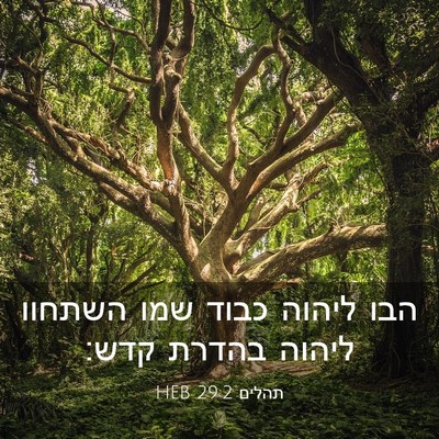 Picture 03 - תהלים 29:2 HEB - הבו ליהוה כבוד שמו השתחוו - Bible Verse Picture