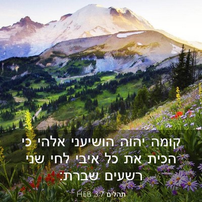 Picture 03 - תהלים 3:7 HEB - קומה יהוה הושיעני אלהי כי - Bible Verse Picture