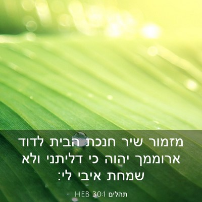 Picture 03 - תהלים 30:1 HEB - מזמור שיר חנכת הבית לדוד - Bible Verse Picture