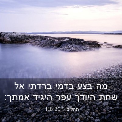 Picture 03 - תהלים 30:9 HEB - מה בצע בדמי ברדתי אל שחת - Bible Verse Picture