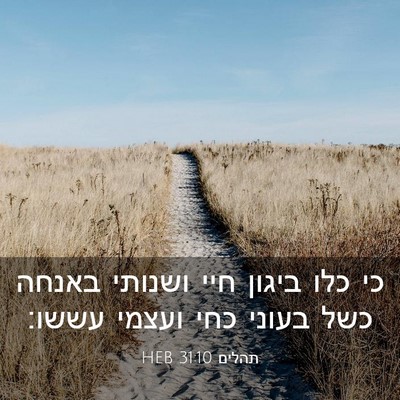 Picture 03 - תהלים 31:10 HEB - כי כלו ביגון חיי ושנותי - Bible Verse Picture