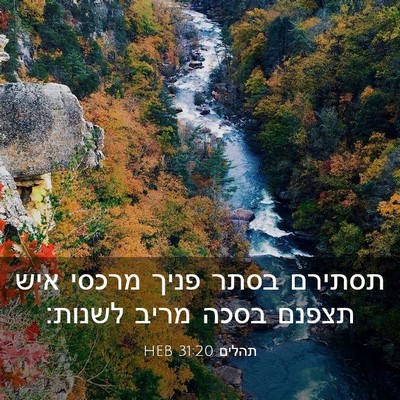 Picture 03 - תהלים 31:20 HEB - תסתירם בסתר פניך מרכסי איש - Bible Verse Picture