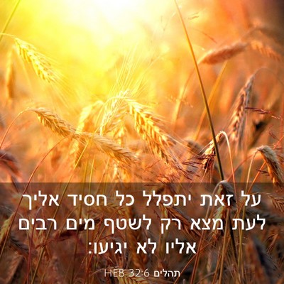 Picture 03 - תהלים 32:6 HEB - על זאת יתפלל כל חסיד אליך - Bible Verse Picture