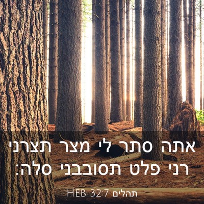 Picture 03 - תהלים 32:7 HEB - אתה סתר לי מצר תצרני רני - Bible Verse Picture