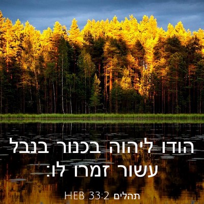 Picture 03 - תהלים 33:2 HEB - הודו ליהוה בכנור בנבל עשור - Bible Verse Picture