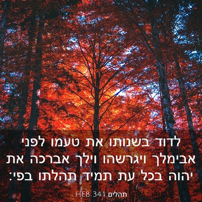 Picture 03 - תהלים 34:1 HEB - לדוד בשנותו את טעמו לפני - Bible Verse Picture