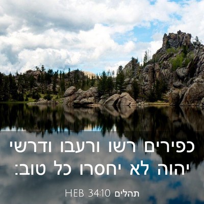 Picture 03 - תהלים 34:10 HEB - כפירים רשו ורעבו ודרשי - Bible Verse Picture