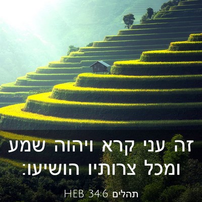 Picture 03 - תהלים 34:6 HEB - זה עני קרא ויהוה שמע ומכל - Bible Verse Picture