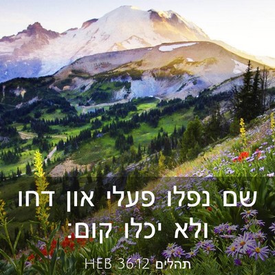 Picture 03 - תהלים 36:12 HEB - שם נפלו פעלי און דחו ולא - Bible Verse Picture