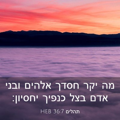 Picture 03 - תהלים 36:7 HEB - מה יקר חסדך אלהים ובני אדם - Bible Verse Picture