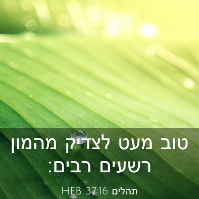 Picture 03 - תהלים 37:16 HEB - טוב מעט לצדיק מהמון רשעים - Bible Verse Picture