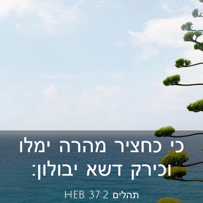 Picture 03 - תהלים 37:2 HEB - כי כחציר מהרה ימלו וכירק - Bible Verse Picture