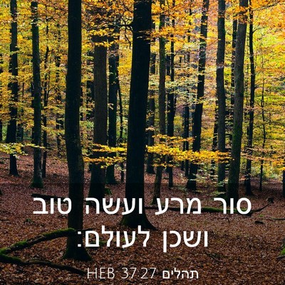 Picture 03 - תהלים 37:27 HEB - סור מרע ועשה טוב ושכן - Bible Verse Picture