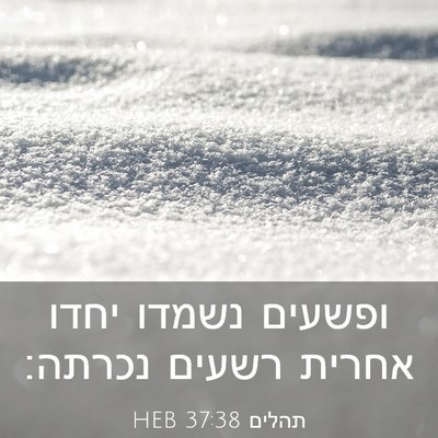 Picture 03 - תהלים 37:38 HEB - ופשעים נשמדו יחדו אחרית - Bible Verse Picture