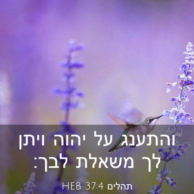 Picture 03 - תהלים 37:4 HEB - והתענג על יהוה ויתן לך - Bible Verse Picture