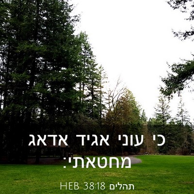 Picture 03 - תהלים 38:18 HEB - כי עוני אגיד אדאג - Bible Verse Picture